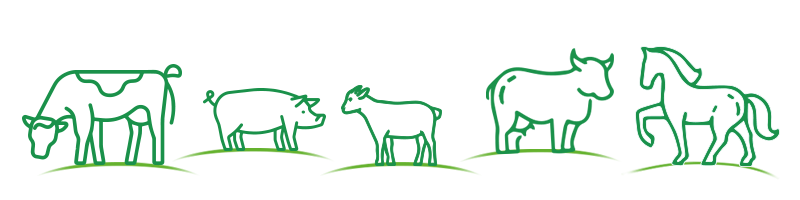 animali_biosprint_2 biosprint® varie specie