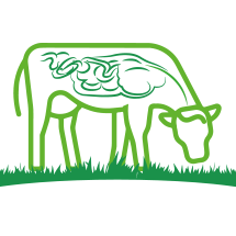 icon_liveyeast_3 lievito di birra zootecnico bovini