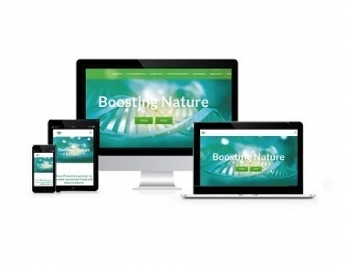 Prosol launches its new Corporate Website