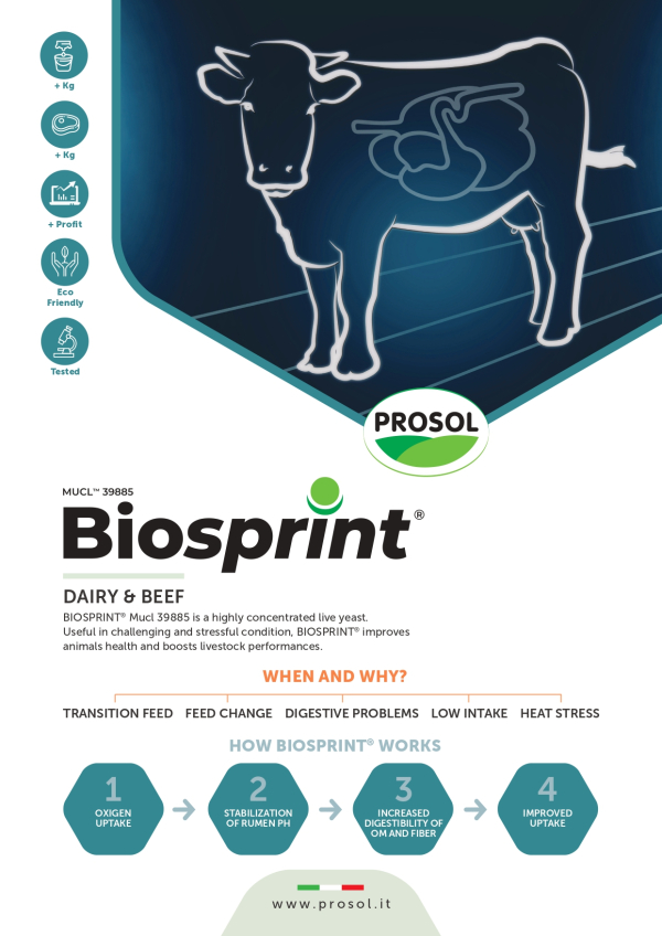 Biosprint® in Ruminants: new Marketing Sheet – PROSOL