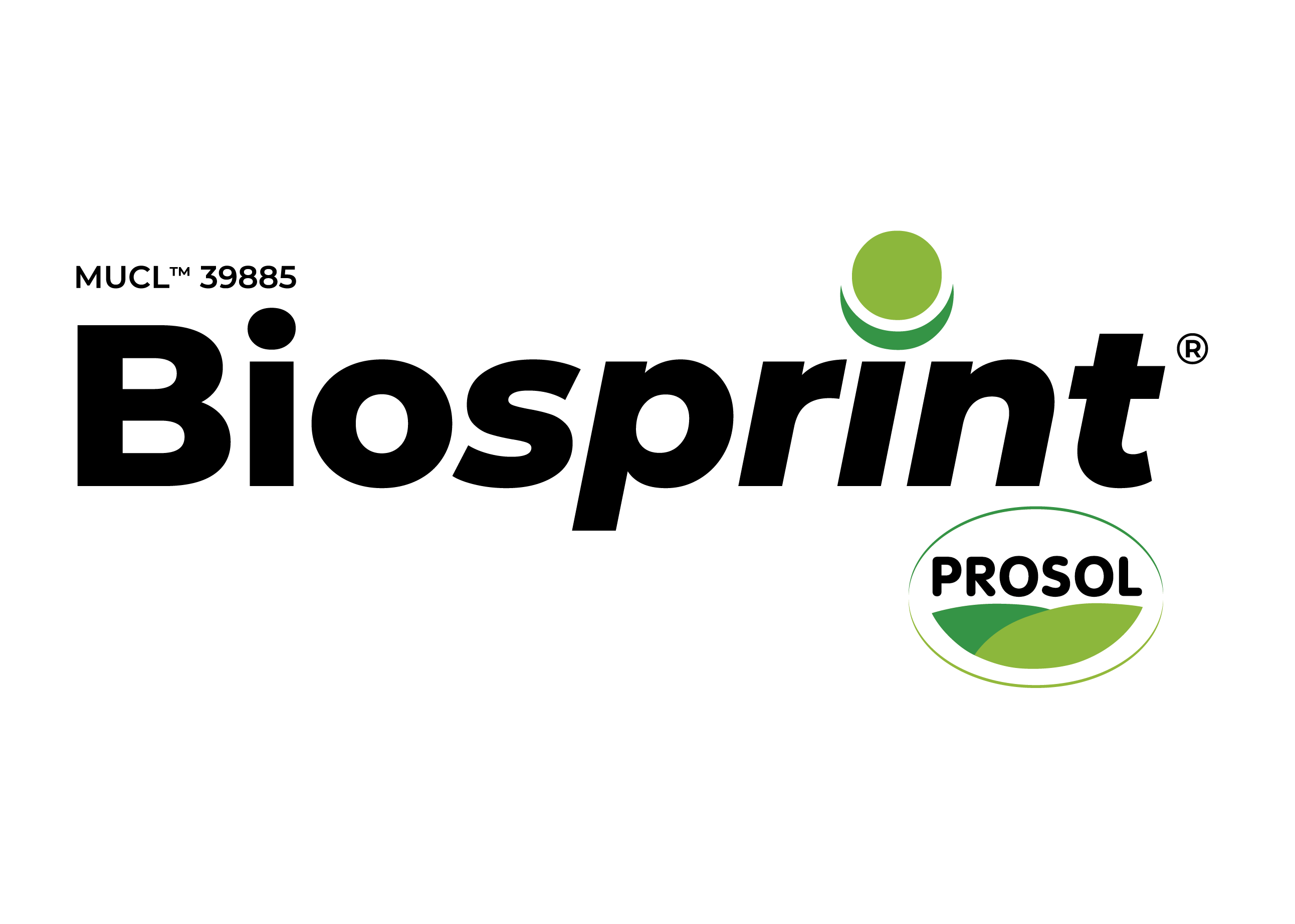 Logo BIOSPRINT+nuovo+sfondo bianco