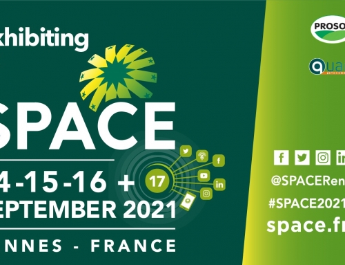 Meet us at Space 2021