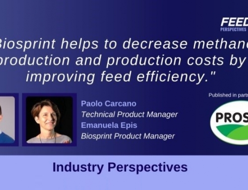 Prosol Interview with Feedinfo: Live Yeast’s Impact on Rumen Microbiome Key to Industry’s Sustainability & Economic Objectives